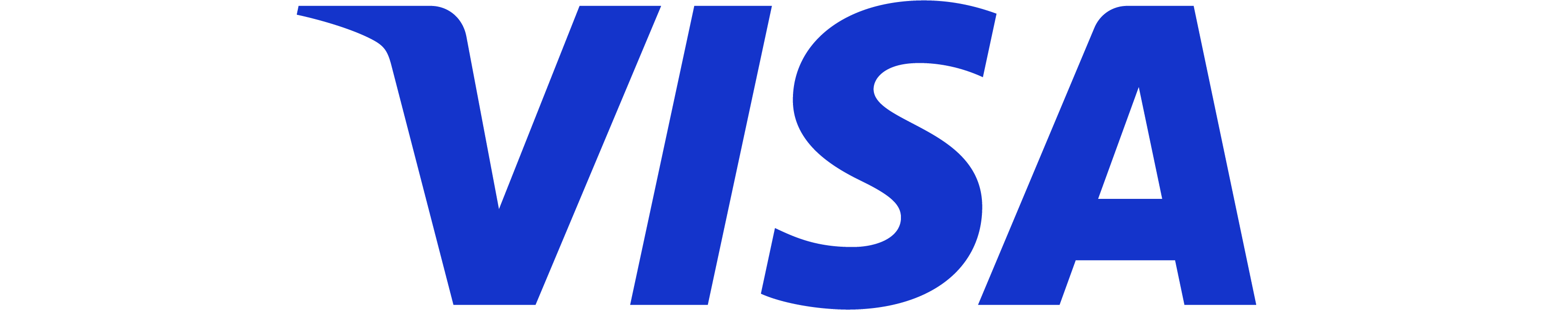 VISA Logo